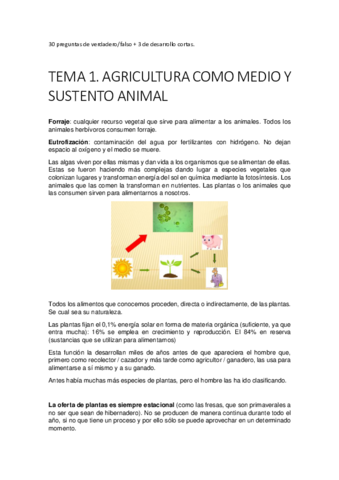 TEMA-1-convertido.pdf