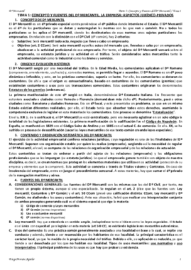 TEMA 1 MERCANTIL I.pdf