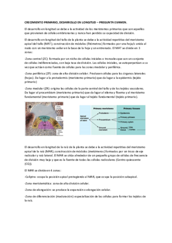 CRECIMIENTO-PRIMARIO-LONGITUD.pdf