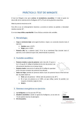 PRACTICA-2-TEST-DE-WINGATE.pdf