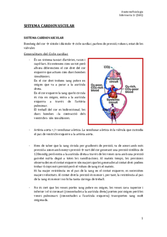 TEMA 7. Sist. Cardiovascular.pdf