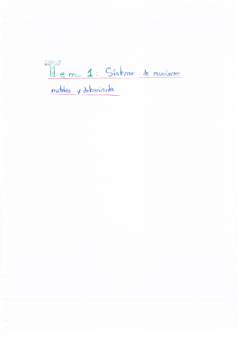 TEMA-1-Sistemas-de-ecuaciones-matrices-determinante.pdf