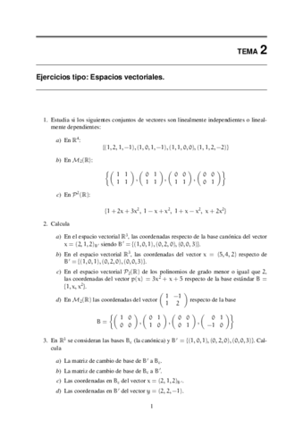 Ejercicios-tipo-tema2.pdf