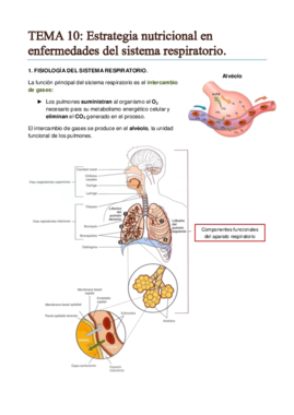 TEMA 10. Estrategia nutricioanl en enfermedades del sistema respiratorio..pdf