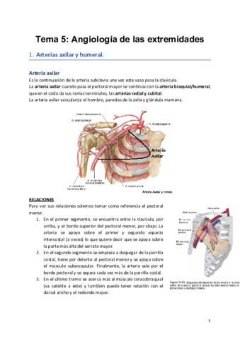 Tema-5-Angiologia-de-las-extremidades.pdf