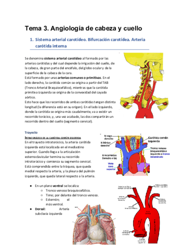 Tema-3-Angiologia-de-cabeza-y-cuello.pdf