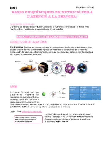 T1-B1-NUTRI.pdf