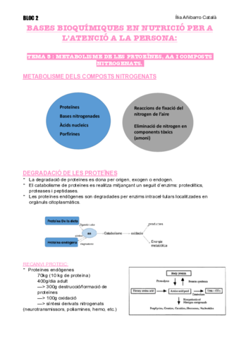 T5-B2-NUTRI.pdf