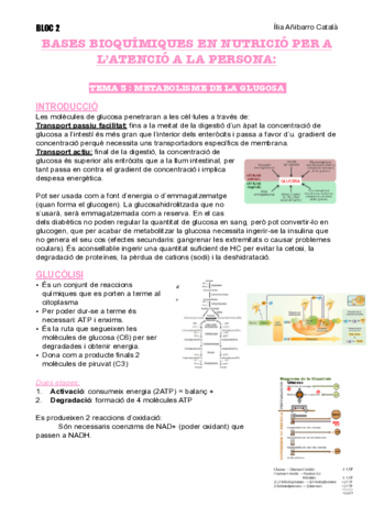 T3-B2-NUTRI.pdf