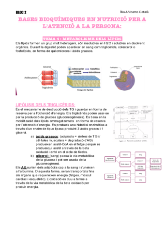 T4-B2-NUTRI.pdf