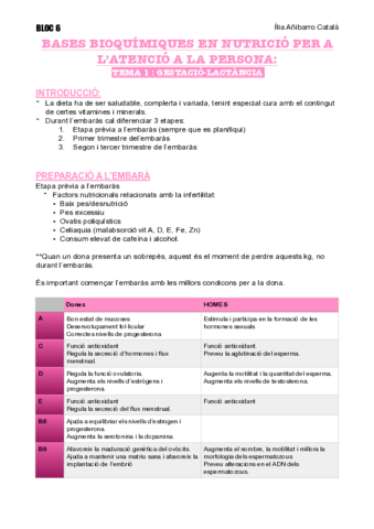 tema-1-bloc-6.pdf