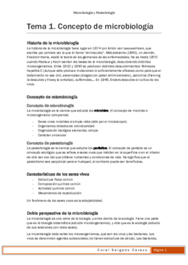 Apuntes micro 2º curso.pdf
