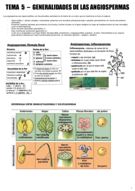 TEMA 5  - BOT MEDICINAL.pdf