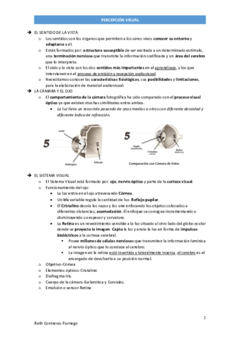 PERCEPCIONVISUAL.pdf