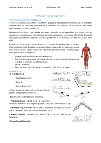 Anato-Generalitats-i-aparell-locomotor-1er-parcial.pdf