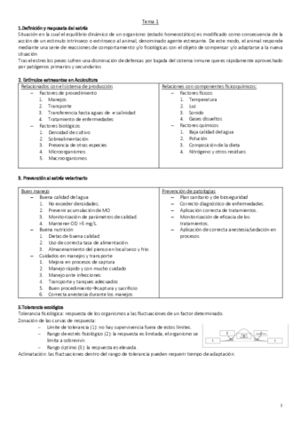 teoria-examen.pdf