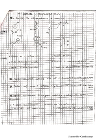 Parcial-I-Organica-I-2015.pdf