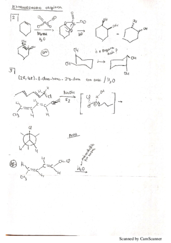 Extraordinario-Organica-I.pdf