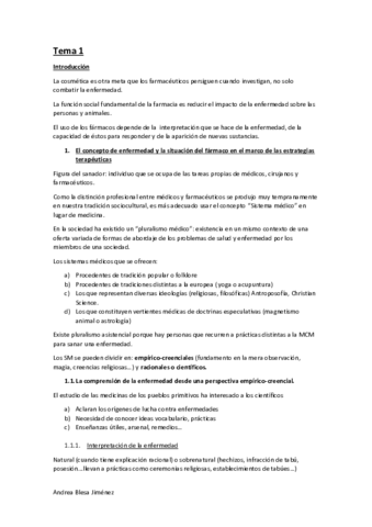 Tema-1-IDM.pdf