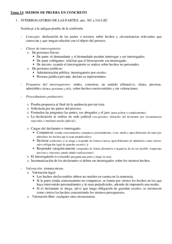 Tema 13.pdf