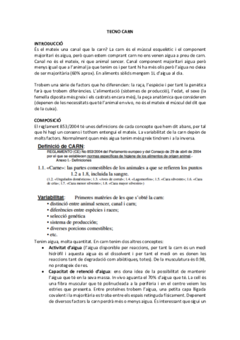 TECNO-CARN.pdf