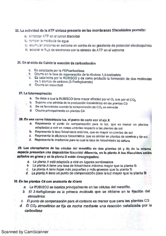 Modelo-Examen.pdf
