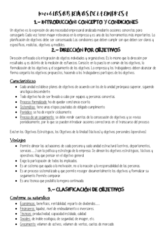 Tema-6-LOS-OBJETIVOS-DE-LA-EMPRESA.pdf