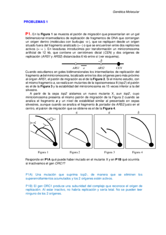 SOLUCIONES-SERIE-1.pdf