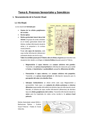 Tema-6.pdf