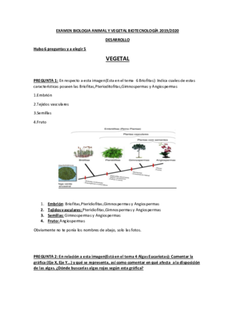 EXAMEN-BIOLOGIA-ANIMAL-Y-VEGETAL-BIOTECNOLOGIA-2019-20.pdf