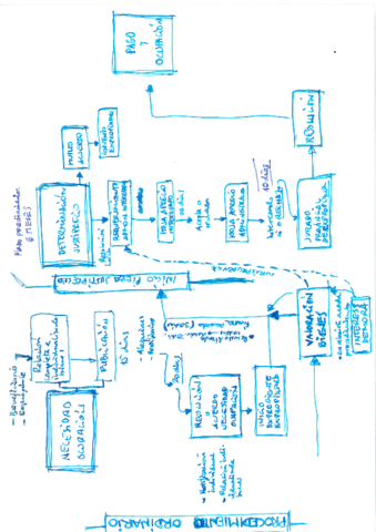 ESQUEMA-DEL-PROCEDIMIENTO-ORDINARIO.pdf