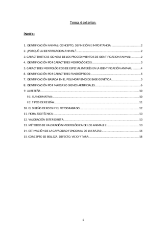 Tema-4-exterior.pdf