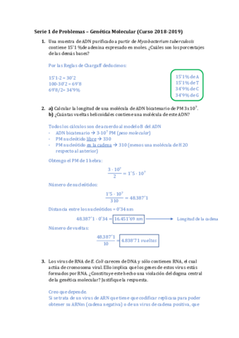 Serie-P1-2018-19-RESUELTA.pdf