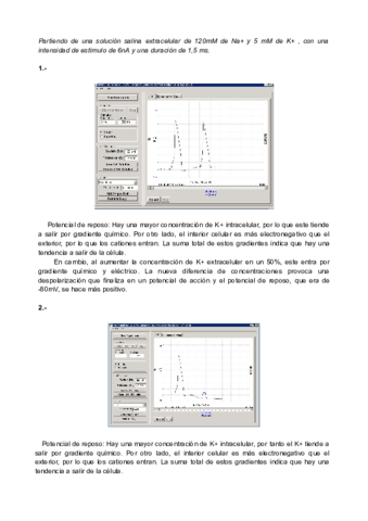 Multimedia-Nerve-Simulation-Ana-Bootello-Lopez.pdf