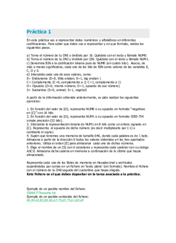 Practicas-.pdf