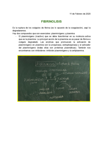 FIBRINOLISIS-Documentos-de-Google.pdf