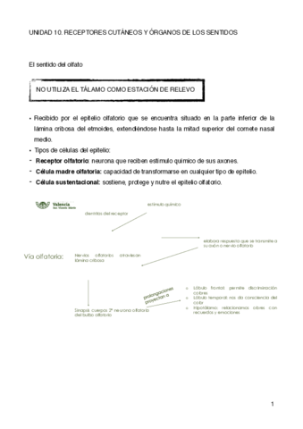 UNIDAD-10.pdf