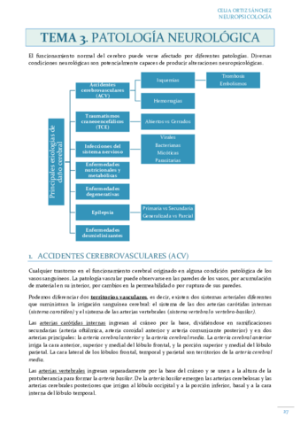 TEMA-3-PDF-P.pdf