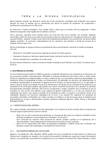 APUNTES-SOC.pdf