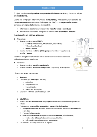 TEJIDO-NERVIOSO-TEMA-9.pdf