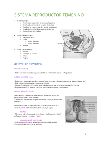 SISTEMA-REPRODUCTOR-FEMENINO.pdf