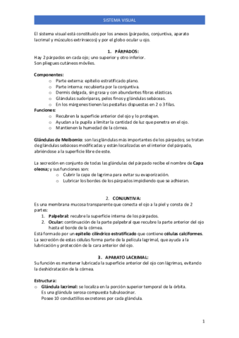 SISTEMA-VISUAL.pdf