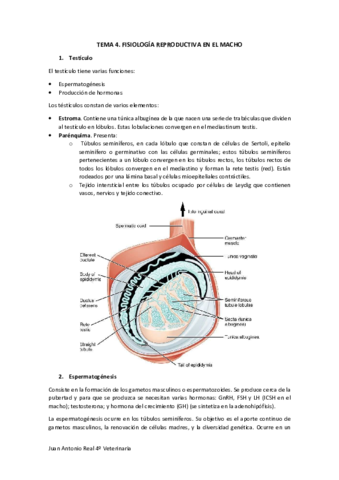 Tema-4.pdf