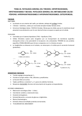 Tema 45.pdf