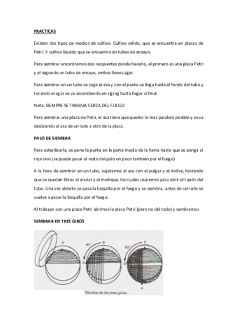 APUNTES-PRACTICA.pdf