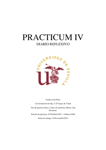 PRACTICUM-IV.pdf