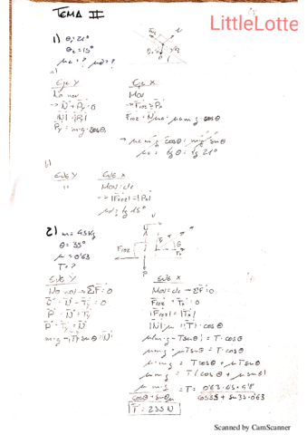 TEMA-II.pdf