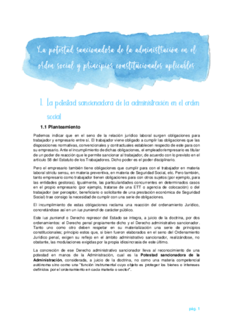 Derecho-Sancionador-Apuntes.pdf