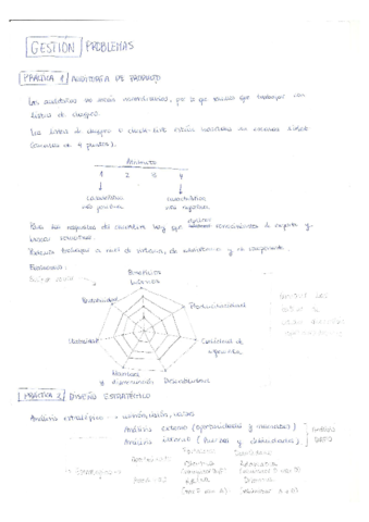 Resumen problemas gestión.pdf