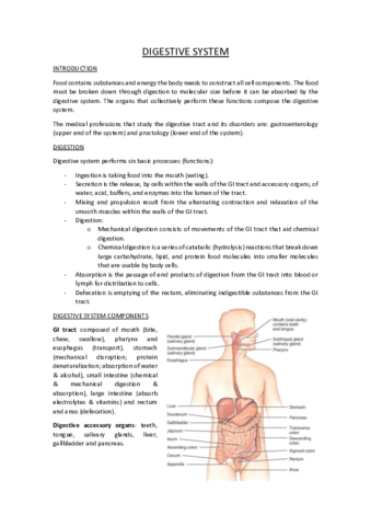 DIGESTIVE-SYSTEM.pdf